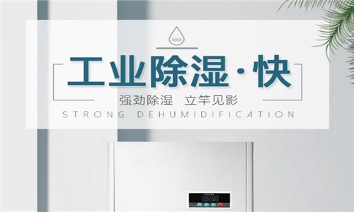 面粉廠購買強勁除濕機的重要性