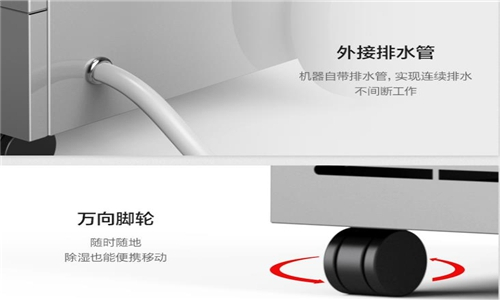 使用除濕機進行魷魚干燥的重要性