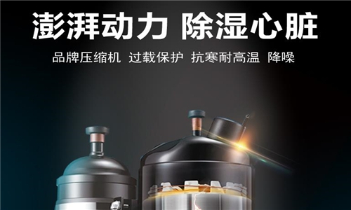 工業(yè)除濕機(jī)對2-8度冷庫的重要性